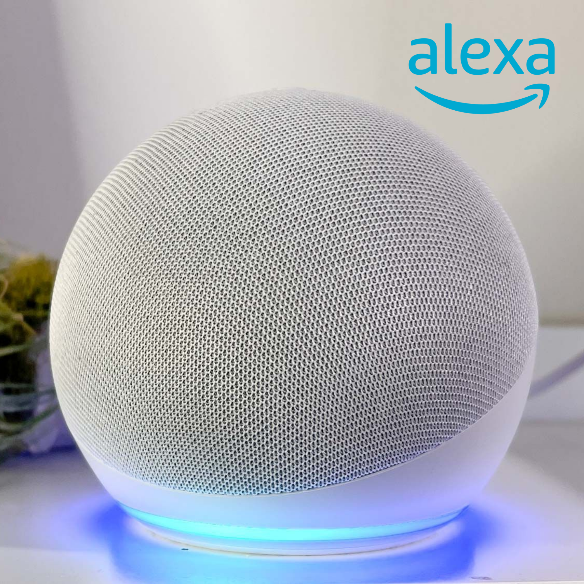 Echo Dot (5ª generación) | Altavoz Inteligente Alexa
