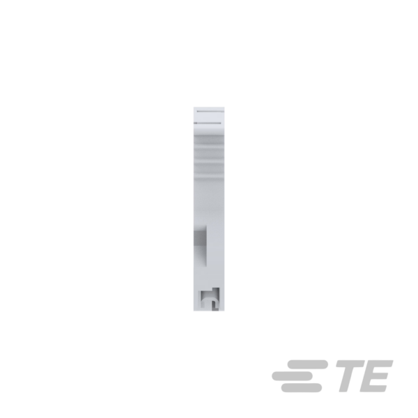 TOPE PARA BORNES FIJACION SIN TORNILLO GRIS│BAZ1│ENTRELEC