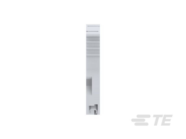 TOPE PARA BORNES FIJACION SIN TORNILLO GRIS│BAZ1│ENTRELEC