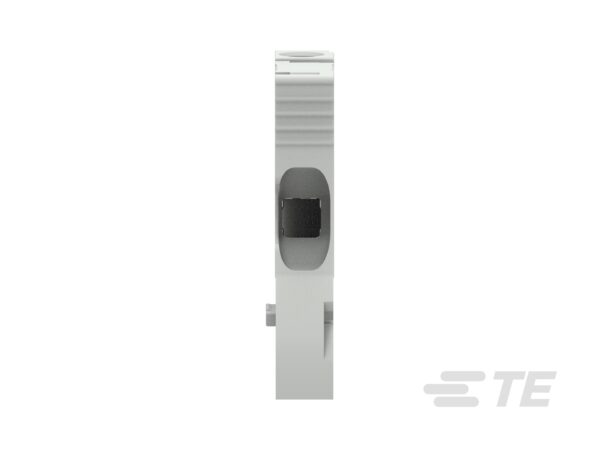 BORNERA DE PASO 10MM 1 PISO GRIS│ZS6│ENTRELEC