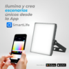 Reflector inteligente sin marco 30W│FL│ISMART